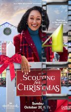 Scouting for Christmas poster